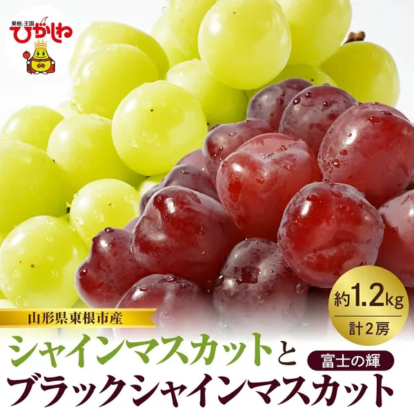 シャインマスカットと富士の輝