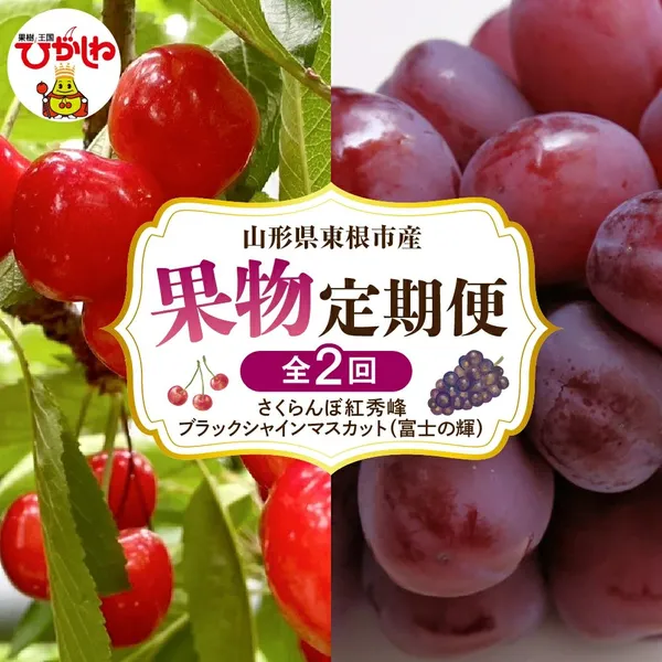 さくらんぼ・富士の輝定期便