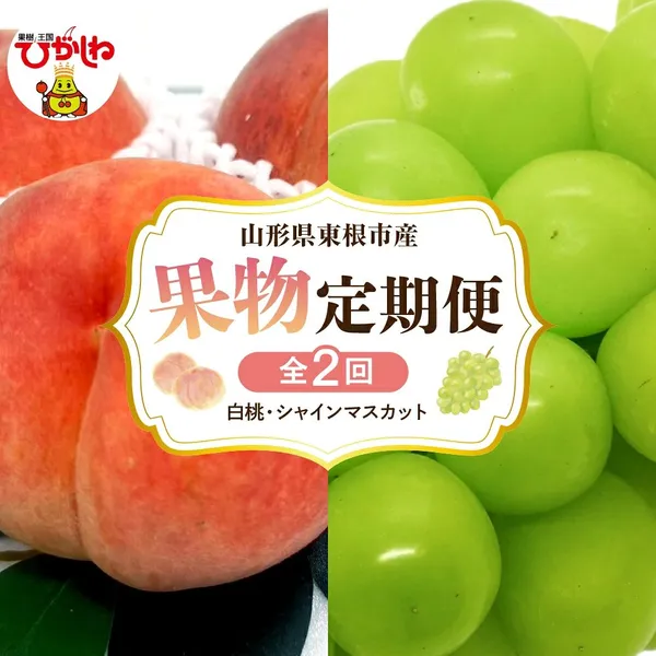 白桃・シャインマスカット定期便