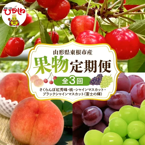 果物定期便 全3回